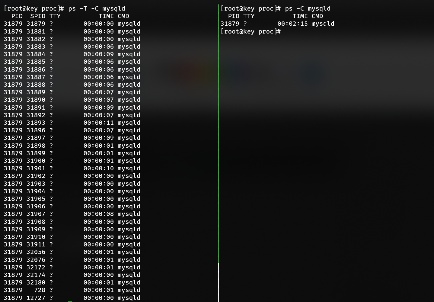 Threaded vs non-threaded PID view of MySQL